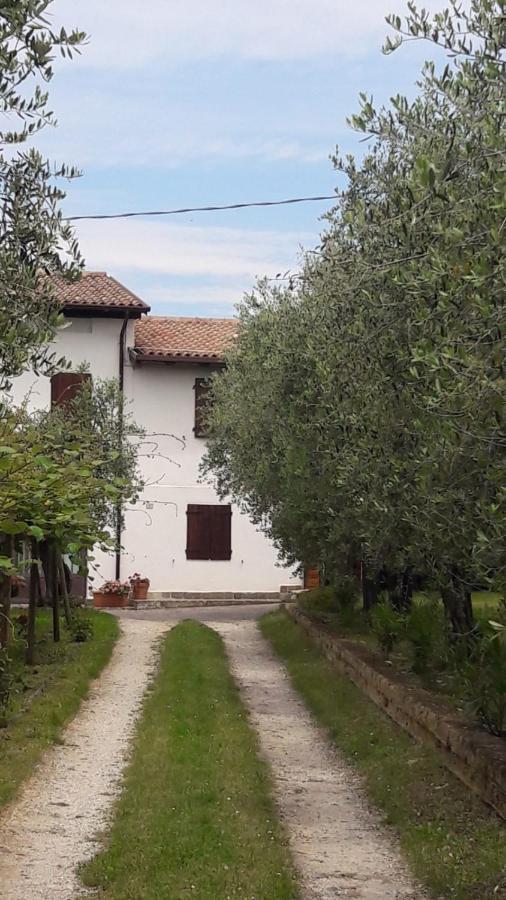 Apartment Casa Tra Gli Olivi